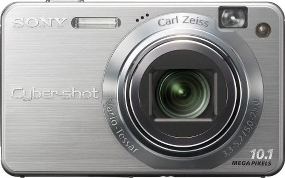 Sony Cybershot DSCW170 10.1MP Digital Camera with 5x Optical Zoom with Super Steady Shot (Silver)