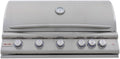 Blaze Premium LTE+ 40-Inch 5-Burner Built-In Propane Gas Grill | Stainless Steel Outdoor BBQ with Rear Infrared Burner, LED Control Knobs & Lift-Assist Hood | BLZ-5LTE3-LP