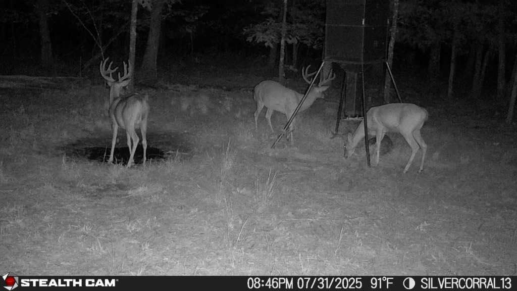 Stealth Cam Fusion Max 2.0 Cellular Trail Camera, 36MP, Outdoor, Instant Alerts, 2-Pack