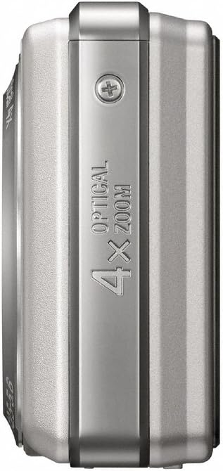 Sony Cybershot DSC-S980 12.1MP Digital Camera with 4x Optical Zoom with Super Steady Shot Image Stabilization (Silver)