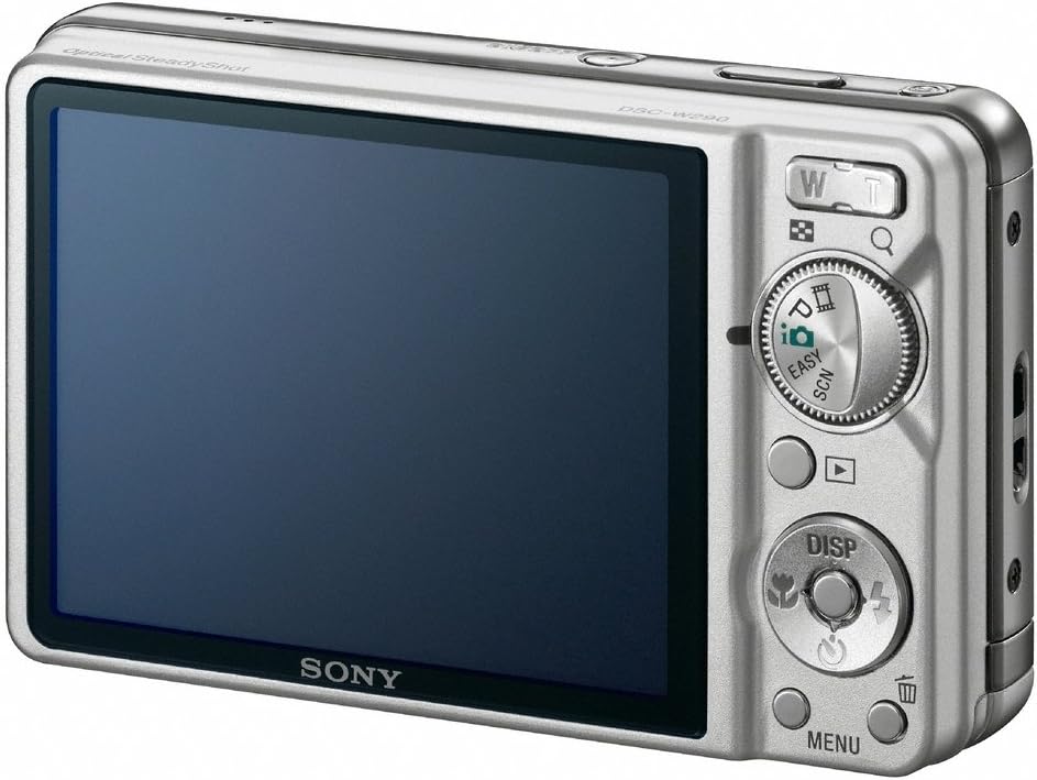 Sony Cyber-shot DSC-W290 12.1 MP Digital Camera with 5x Optical Zoom and Super Steady Shot Image Stabilization (Silver)