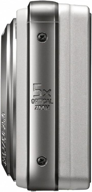 Sony Cyber-shot DSC-W290 12.1 MP Digital Camera with 5x Optical Zoom and Super Steady Shot Image Stabilization (Silver)