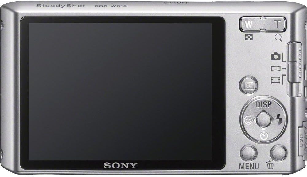 Sony Cyber-shot DSCW610 14.1 MP Digital Camera with 4x Optical Zoom and 2.7-Inch LCD (Silver) (2012 Model)