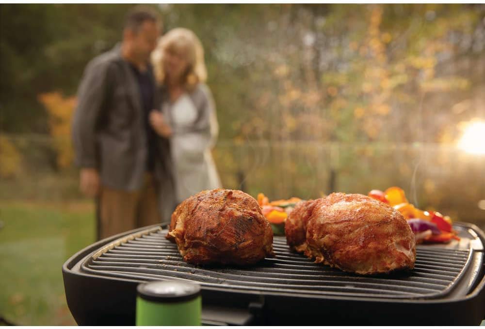 Napoleon TravelQ PRO285E Portable Electric Grill, Black, Tailgating, Camping, and Small Outdoor Spaces