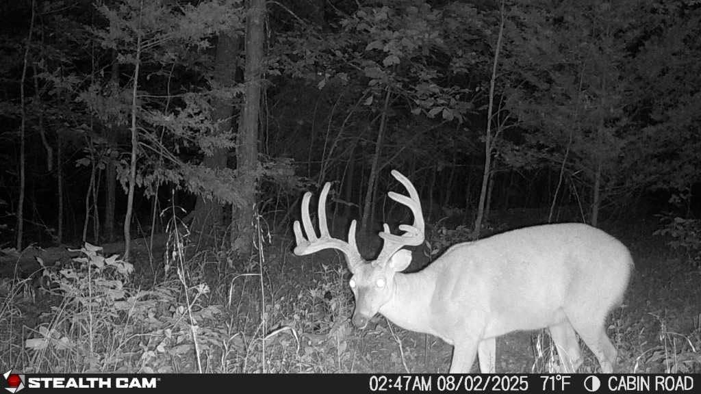 Stealth Cam Fusion Max 2.0 Cellular Trail Camera, 36MP, Outdoor, Instant Alerts, 2-Pack