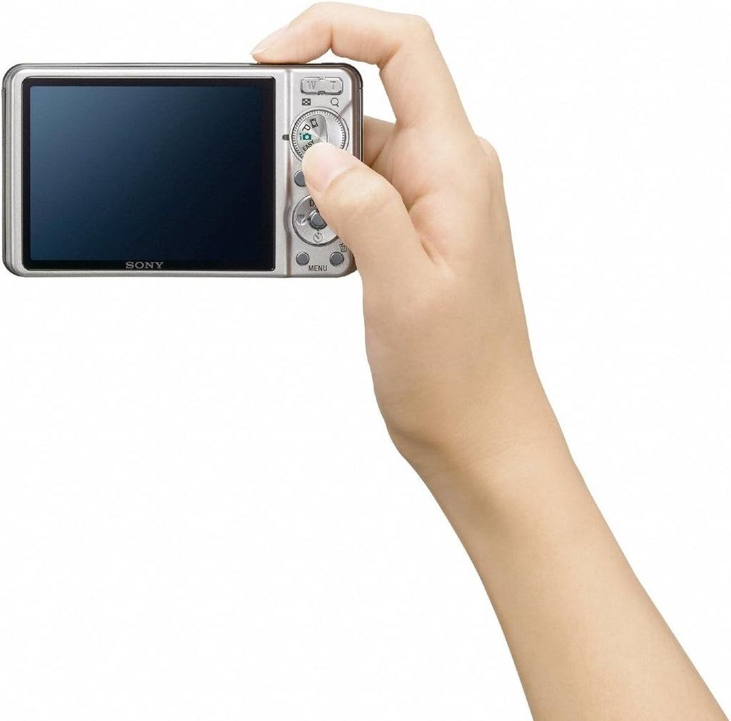 Sony Cyber-shot DSC-W290 12.1 MP Digital Camera with 5x Optical Zoom and Super Steady Shot Image Stabilization (Silver)