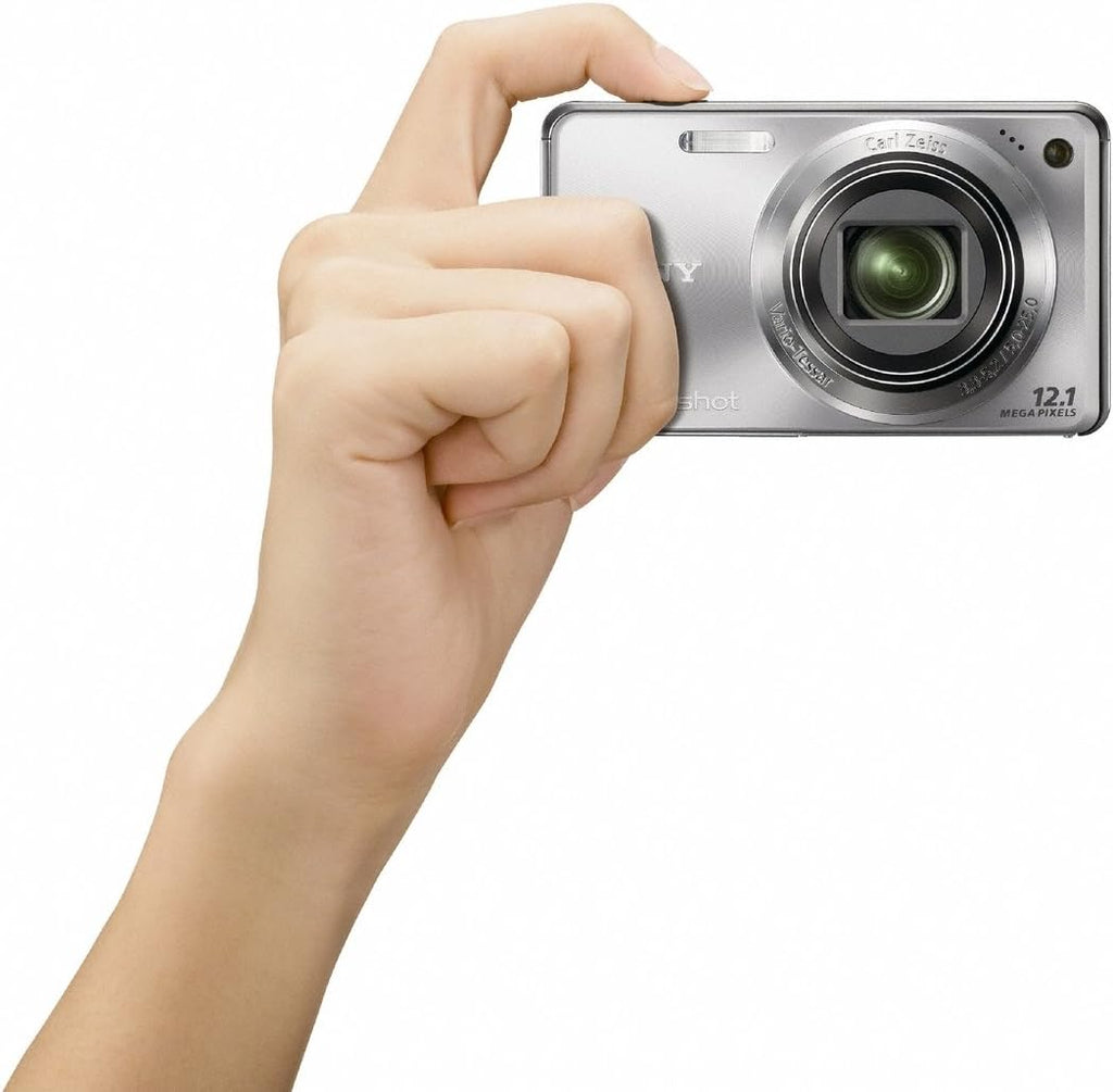 Sony Cyber-shot DSC-W290 12.1 MP Digital Camera with 5x Optical Zoom and Super Steady Shot Image Stabilization (Silver)