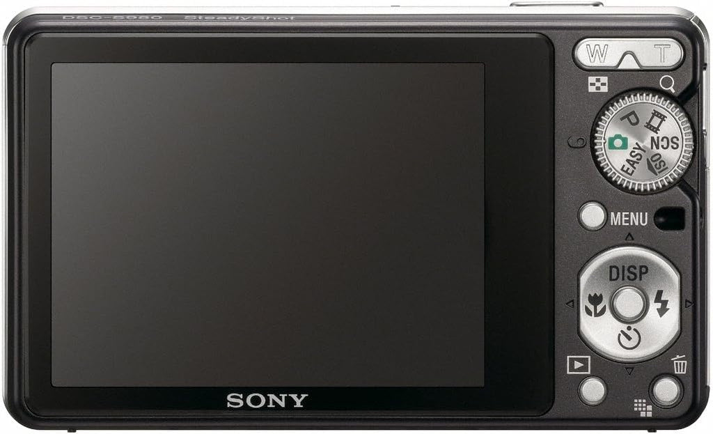 Sony Cybershot DSC-S980 12MP Digital Camera with 4x Optical Zoom with Super Steady Shot Image Stabilization (Black)