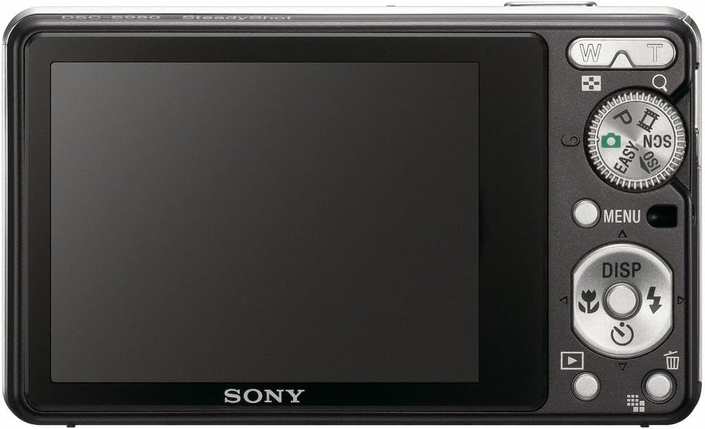 Sony Cybershot DSC-S980 12MP Digital Camera with 4x Optical Zoom with Super Steady Shot Image Stabilization (Black)