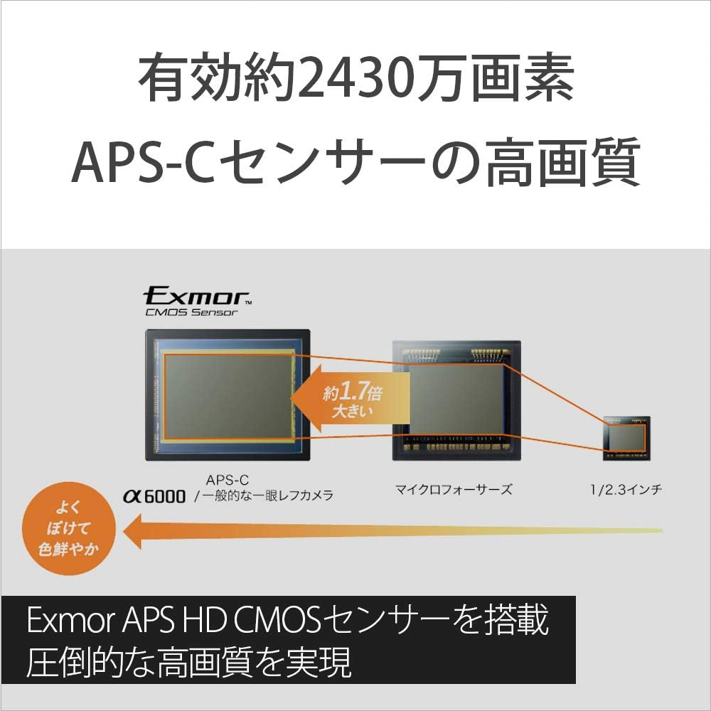 Sony Alpha a6000 Mirrorless Digitial Camera 24.3MP SLR Camera with 3.0-Inch LCD (Black) w/ 16-50mm Power Zoom Lens (Renewed)