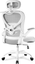 Freepub Ergonomic Office Chair with Headrest 3D, Mesh Office Desk Chair with Adjustable Lumbar Support, Computer Chair with Flip up Armrests, 350LBS Capacity - Design for Home/Offices - Grey
