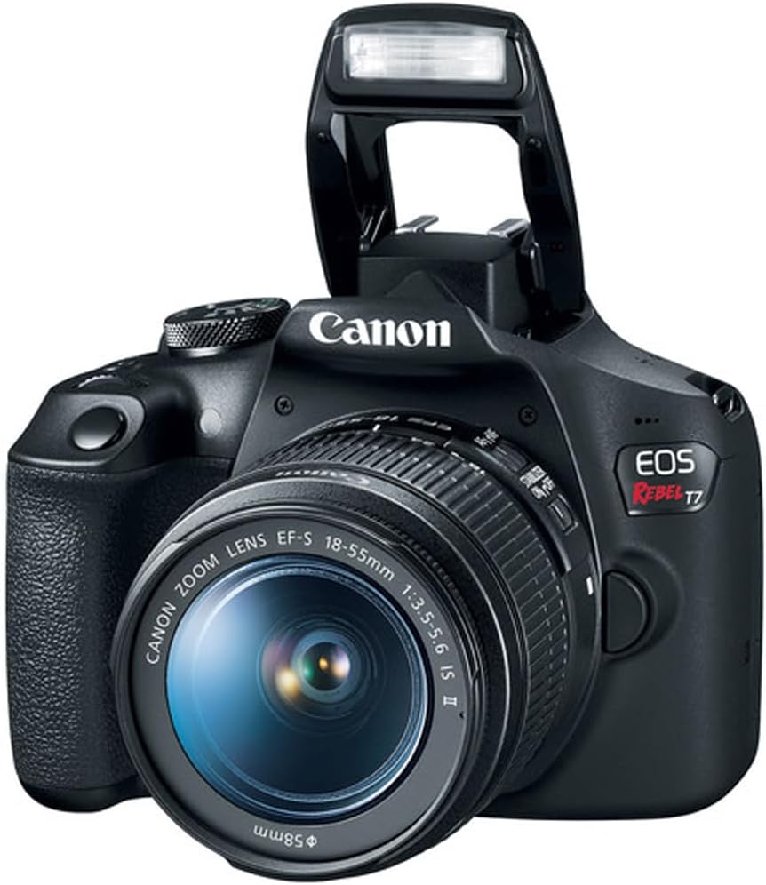 Canon EOS Rebel T7 DSLR Camera with EF18-55mm + EF 75-300mm Double Zoom Kit 2727C021 Bundle with Lexar Premium 64GB SDXC Memory Card, Deco Essentials Camera Bag and Corel Photo Video Suite