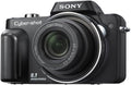 Sony Cybershot DSC-H10 8.1MP Digital Camera with 10x Optical Zoom with Super Steady Shot