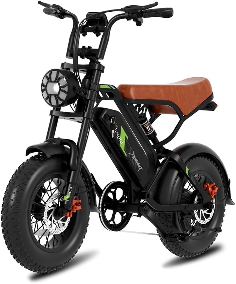 1000W Electric Bike for Adults,48V 15.6Ah Removable Battery,28MPH Top Speed,24-50 Mile Range,16'x4' Fat Tire,Double Shock Absorber,Dual Disc Brakes,High Carbon Steel Frame,UL Certified
