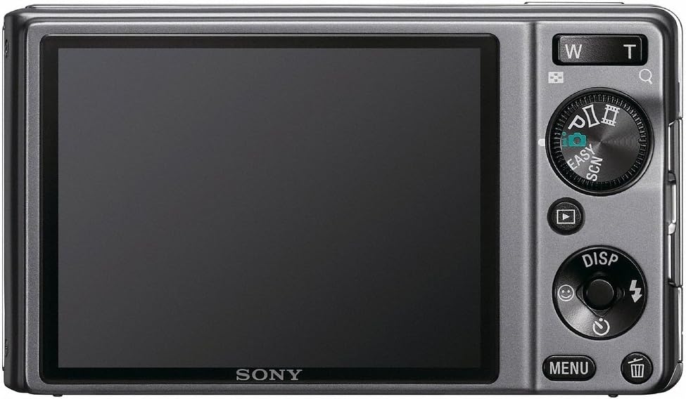 Sony DSC-W370 14.1MP Digital Camera with 7x Wide Angle Zoom with Optical Steady Shot Image Stabilization and 3.0 inch LCD (Silver)