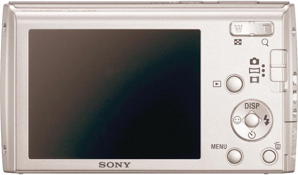 Sony Cyber-Shot DSC-W510 12.1 MP Digital Still Camera with 4x Wide-Angle Optical Zoom Lens and 2.7-inch LCD (Silver)