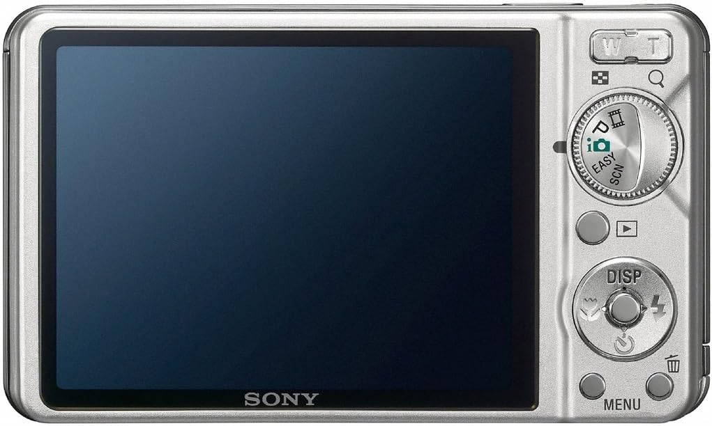 Sony Cyber-shot DSC-W290 12.1 MP Digital Camera with 5x Optical Zoom and Super Steady Shot Image Stabilization (Silver)
