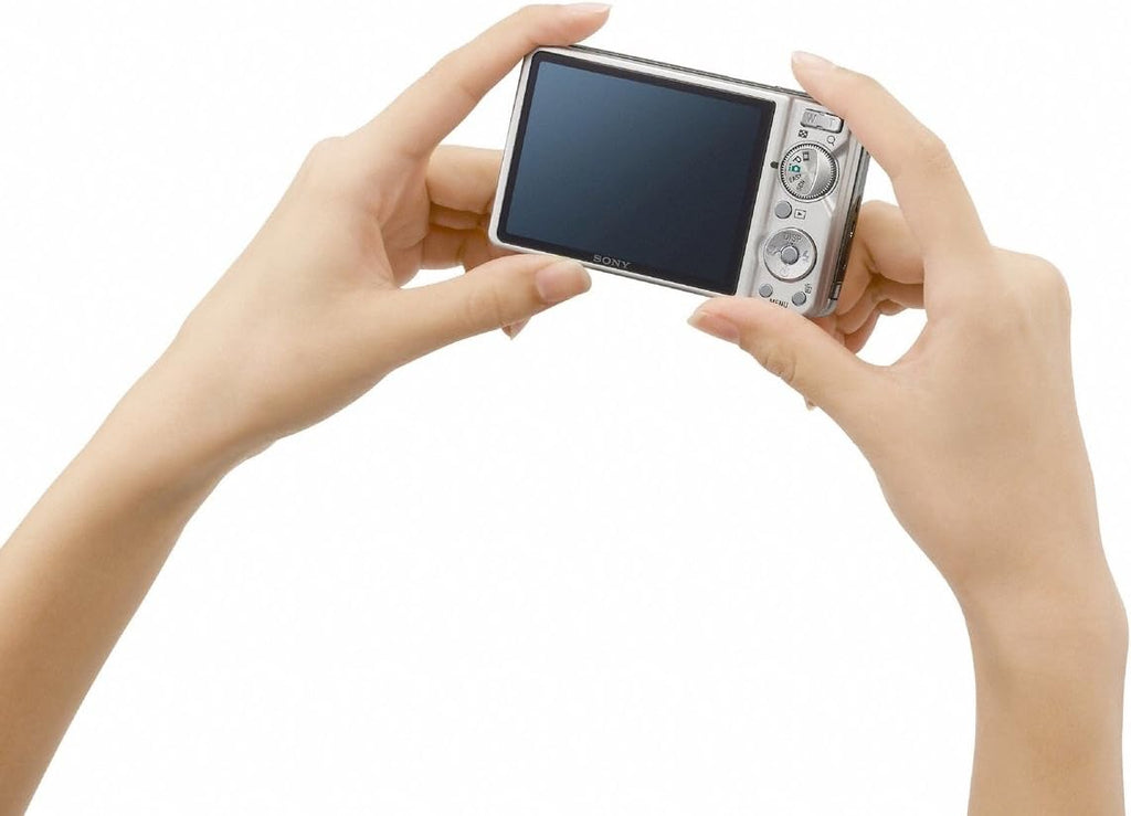Sony Cyber-shot DSC-W290 12.1 MP Digital Camera with 5x Optical Zoom and Super Steady Shot Image Stabilization (Silver)