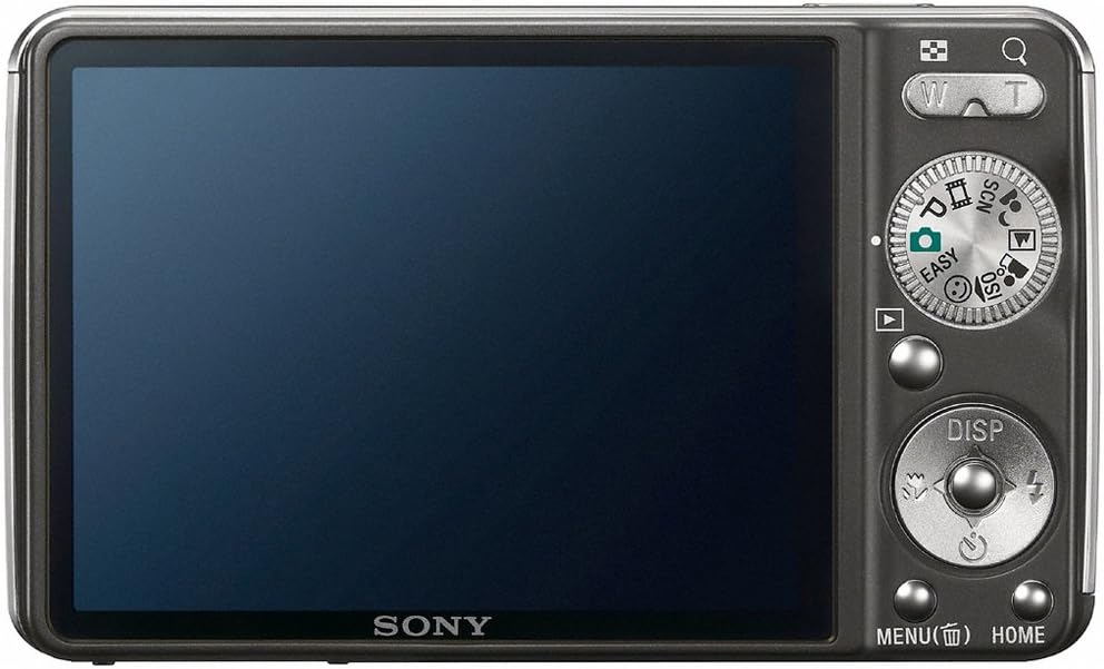 Sony Cyber-shot DSC-W230 12.1 MP Digital Camera with 4x Optical Zoom and Super Steady Shot Image Stabilization (Black)
