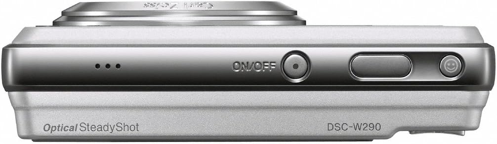 Sony Cyber-shot DSC-W290 12.1 MP Digital Camera with 5x Optical Zoom and Super Steady Shot Image Stabilization (Silver)