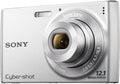 Sony Cyber-Shot DSC-W510 12.1 MP Digital Still Camera with 4x Wide-Angle Optical Zoom Lens and 2.7-inch LCD (Silver)
