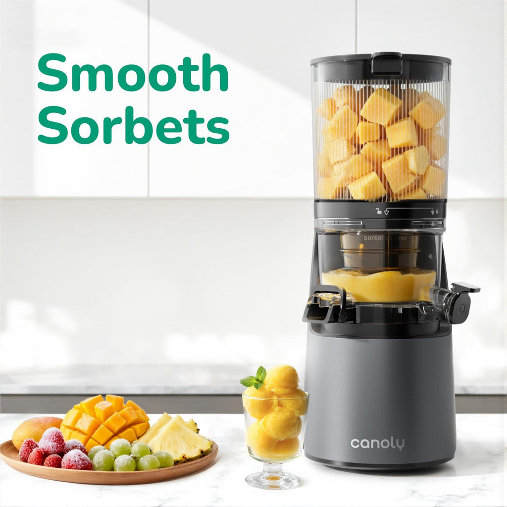 Canoly C16 Cold Press Juicer, 6' Extra Wide Feed Chute, 3-IN-1 Strainers (Juice & Sorbet & Nut Milk), Powerful AC Brushless Motor, Self Precut System, Juicer Machines with BPA-Free (Space Gray)