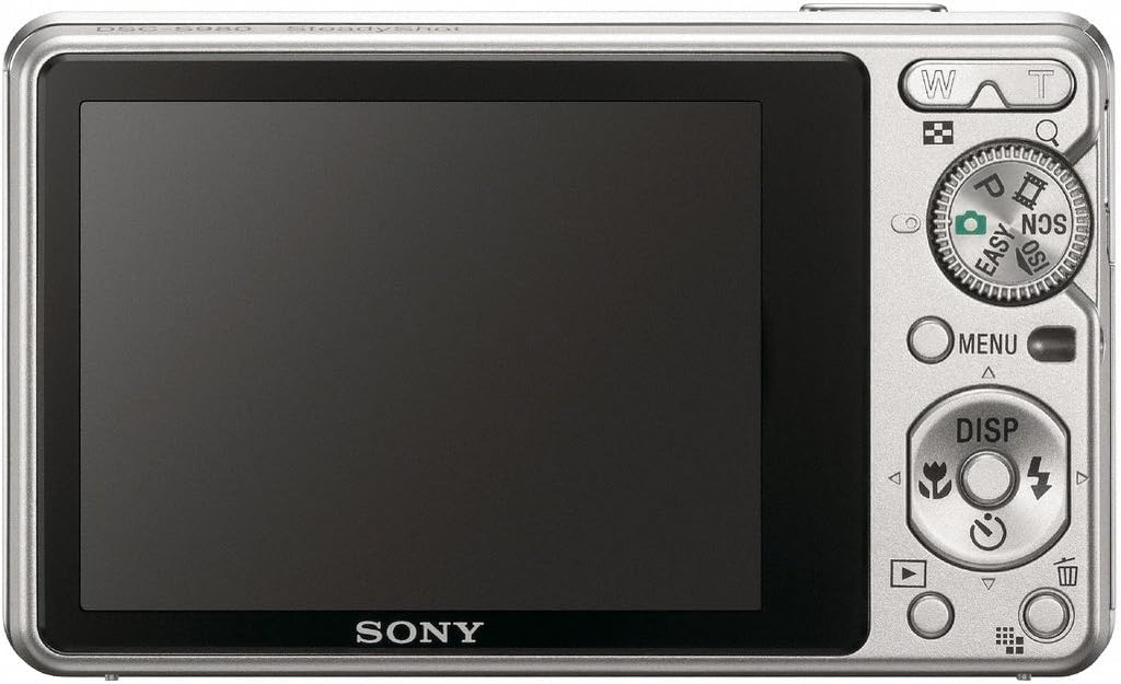 Sony Cybershot DSC-S980 12.1MP Digital Camera with 4x Optical Zoom with Super Steady Shot Image Stabilization (Silver)