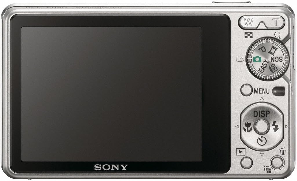 Sony Cybershot DSC-S980 12.1MP Digital Camera with 4x Optical Zoom with Super Steady Shot Image Stabilization (Silver)