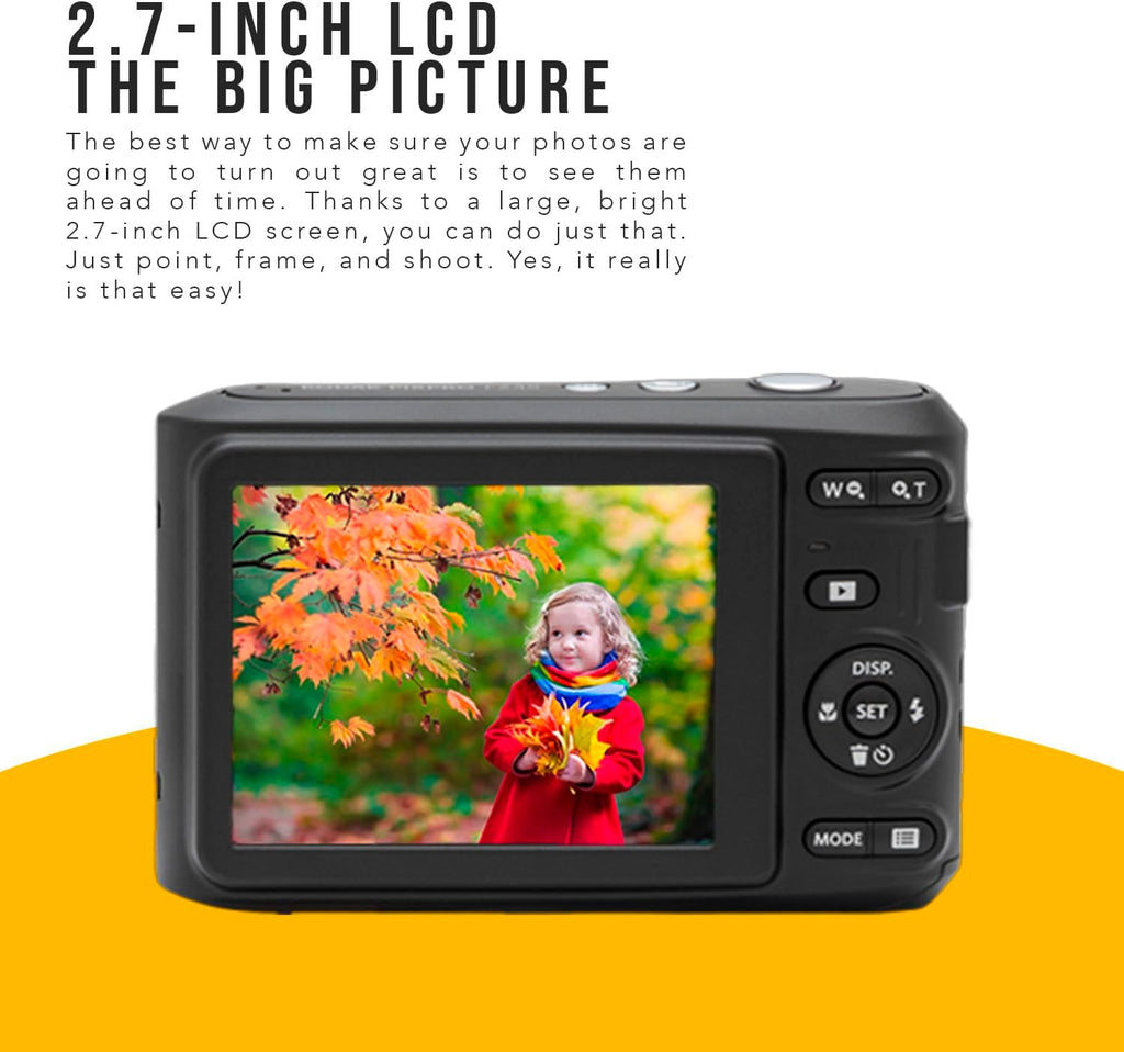 Kodak PIXPRO FZ45 Friendly Zoom Digital Camera (Black) Bundle with Folding Storage Travel Case, 128GB SD Class 10 UHS-I U1 V10 Full HD Memory Card, and Procell AA (4-Pack) (4 Items)