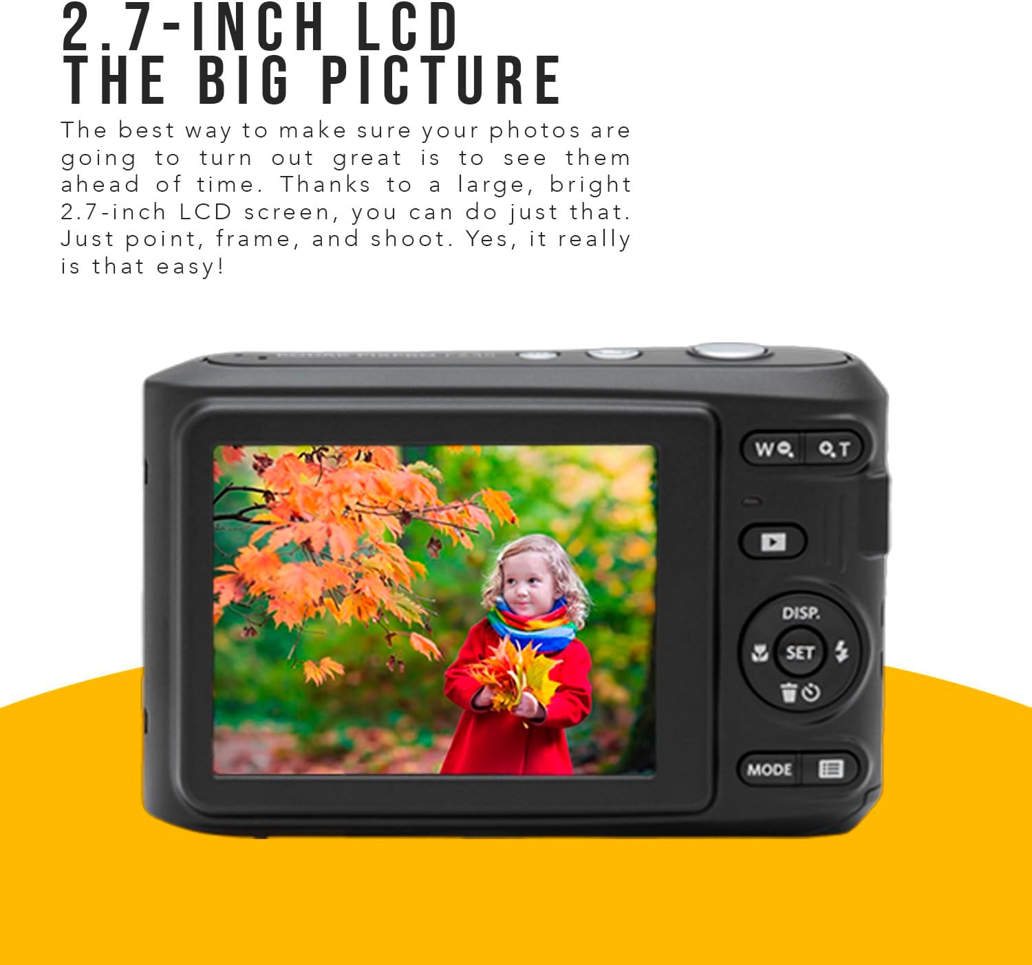 Kodak PIXPRO FZ45 Friendly Zoom Digital Camera (Black) Bundle with Folding Storage Travel Case, 128GB SD Class 10 UHS-I U1 V10 Full HD Memory Card, and Procell AA (4-Pack) (4 Items)