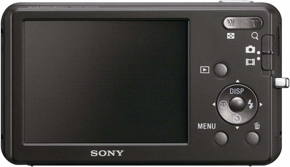 Sony DSC-W310 12.1MP Digital Camera with 4x Wide Angle Zoom with Digital Steady Shot Image Stabilization and 2.7 inch LCD (Black) (OLD MODEL)