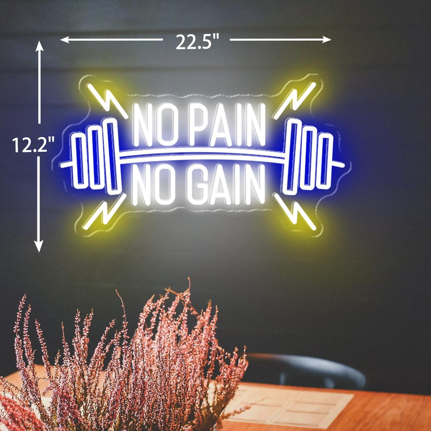 No Pain No Gain Neon Signs, Dimmable Neon Lights for Wall Decor, No Pain No Gain Light Up Signs for Gym, Classroom, Reading Club, Office, Neon Lights Signs for Fitness Wall Art, 22.5x12.2'