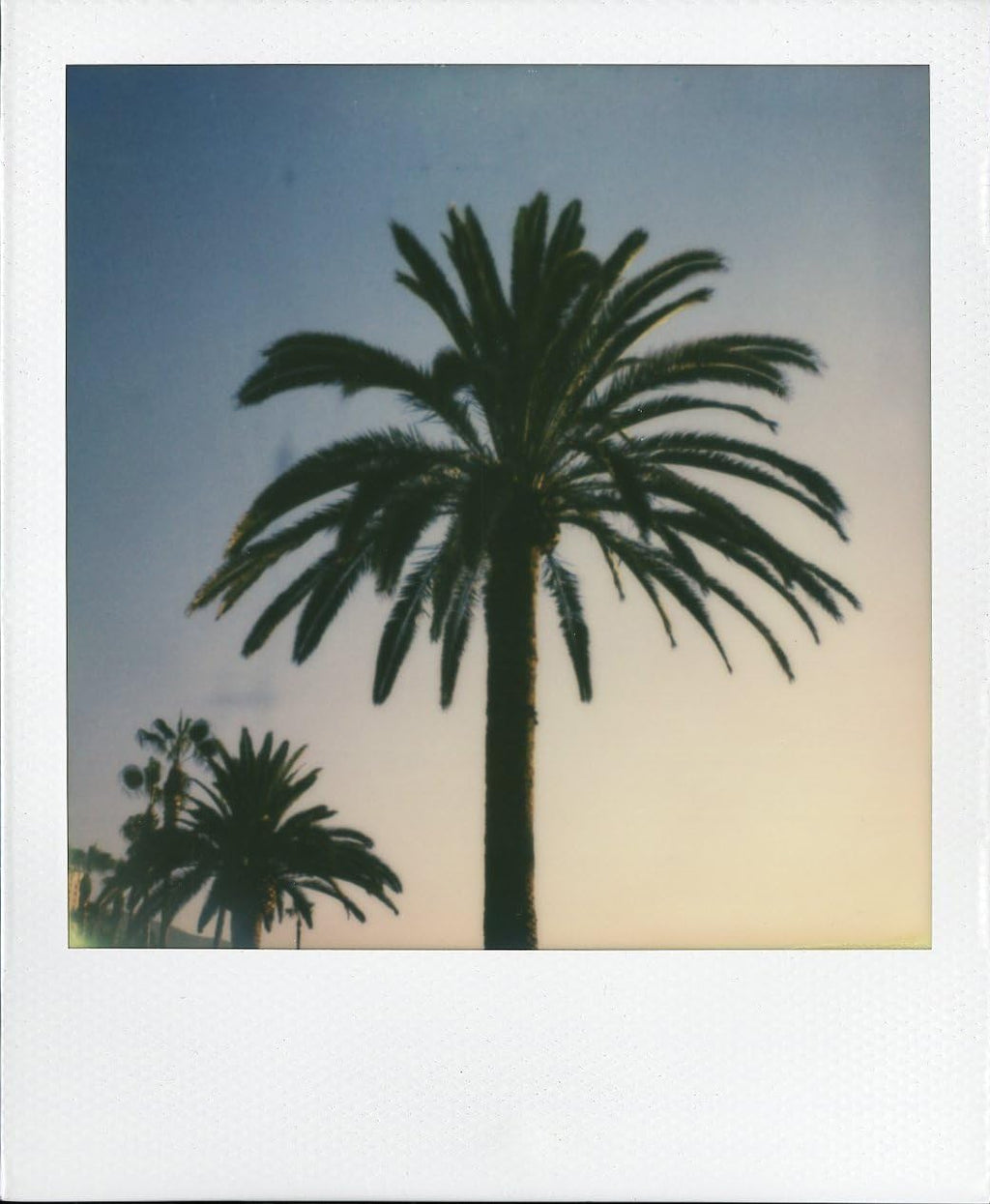 Impossible Polaroid 600 Square Black One Step Camera, Black (PRD541)
