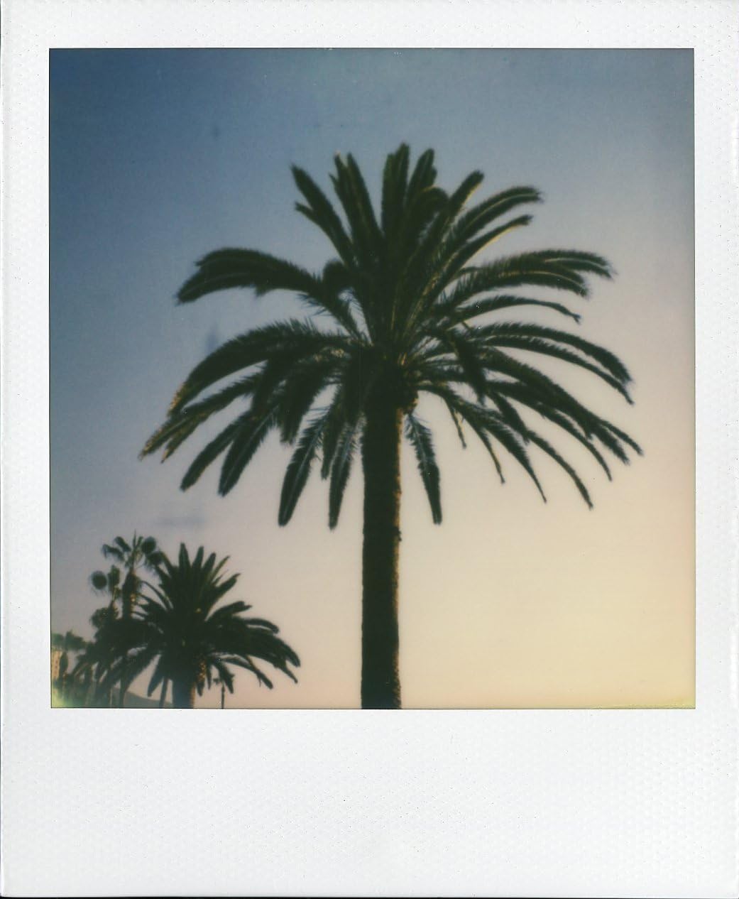 Impossible Polaroid 600 Square Black One Step Camera, Black (PRD541)
