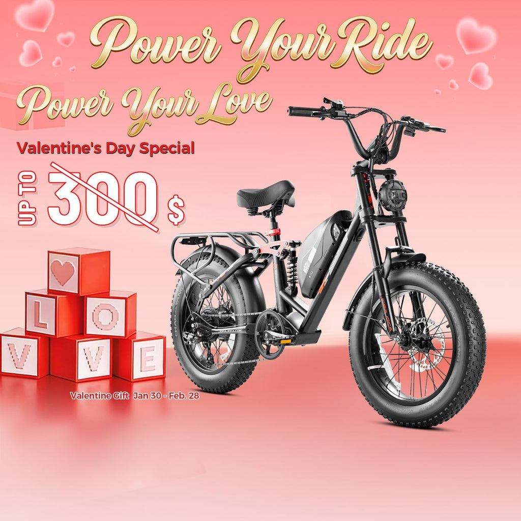 eAhora Luna 2/Terra 2/Luna/Terra Electric Bike for Adults 3000W/1500W Motor 33/31MPH 48V 20/15AH 80+Miles Long Range Ebike, 20'4.0 Fat Tire Full Suspension Dual Hydraulic Disc Brakes Electric Bicycle