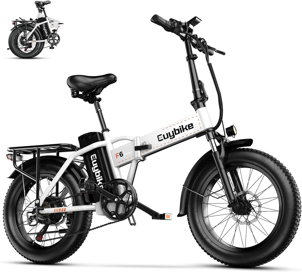 Foldable Electric Bike for Adults, 48V 20Ah Removable Lithium Battery up to 80Miles, 20' Fat Tire 1000W Peak Motor Dirt Ebike Adult Electric Bicycle for Commute Beach Mountain E Bike