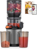 Cold Press Juicer Machine with 6' Extra-Wide Feed Chute,Triple Stainless Steel Filter,Quiet DC Motor,Easy to Clean,Slow Masticating Juicer High Juice Yield,Grey