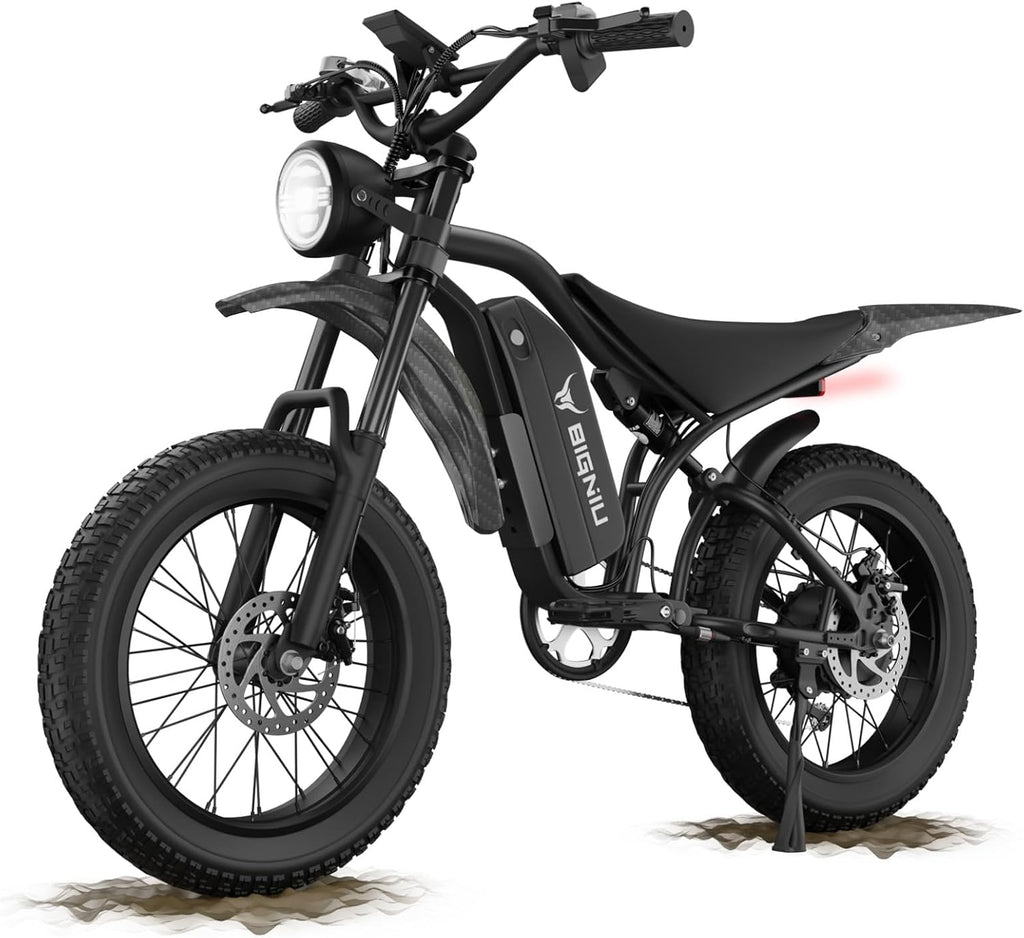 BIGNIU Electric Bike for Adults – 20' Fat Tire, Peak 1200W Motor, 48V 15A Battery, 7-Speed, Dual Disc Brakes for Off-Road and City Riding BG-S