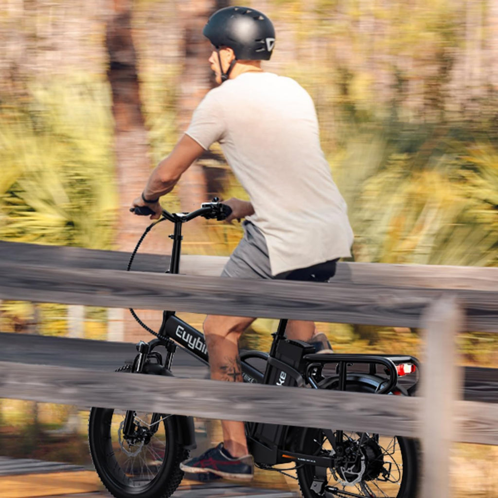 bluebiko 1000W Folding Electric Bike, 48V 20AH Removable Battery E Bike, 70 Miles Max Range, 20' Fat Tire Adults Electric Bike,7-Speed Ebike for City Commuting,Off-Roading,Mountain