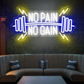No Pain No Gain Neon Signs, Dimmable Neon Lights for Wall Decor, No Pain No Gain Light Up Signs for Gym, Classroom, Reading Club, Office, Neon Lights Signs for Fitness Wall Art, 22.5x12.2'