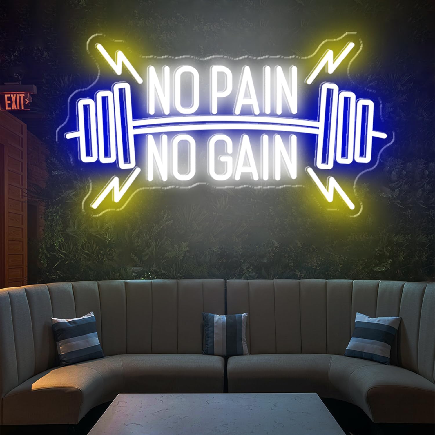 No Pain No Gain Neon Signs, Dimmable Neon Lights for Wall Decor, No Pain No Gain Light Up Signs for Gym, Classroom, Reading Club, Office, Neon Lights Signs for Fitness Wall Art, 22.5x12.2'