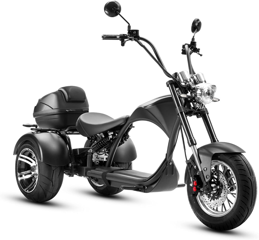 eAhora M1P Electric Trike for Adults, 2000W Brushless Motor 26MPH Electric Tricycle,60V 30AH Fast Charge Battery,F&R Disk Brake, Hydraulics Suspension,3 Wheel Electric Bikes