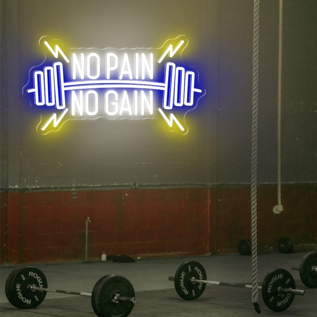No Pain No Gain Neon Signs, Dimmable Neon Lights for Wall Decor, No Pain No Gain Light Up Signs for Gym, Classroom, Reading Club, Office, Neon Lights Signs for Fitness Wall Art, 22.5x12.2'
