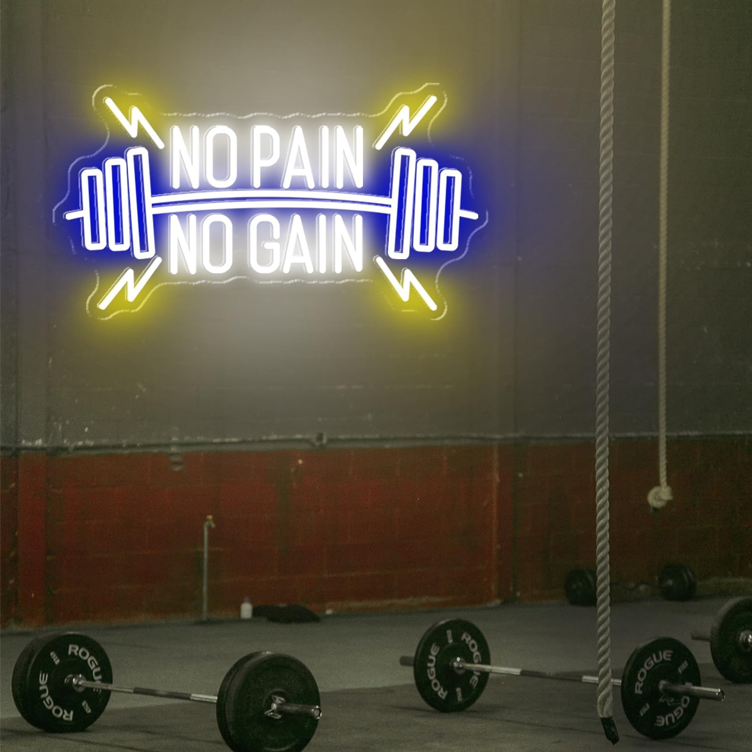 No Pain No Gain Neon Signs, Dimmable Neon Lights for Wall Decor, No Pain No Gain Light Up Signs for Gym, Classroom, Reading Club, Office, Neon Lights Signs for Fitness Wall Art, 22.5x12.2'