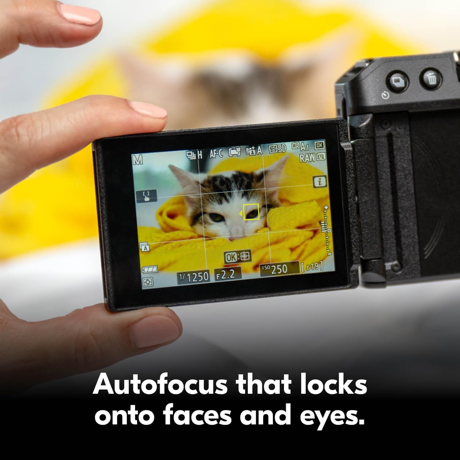 Nikon Z 30 with Wide-Angle Zoom Lens | Our most compact, lightweight mirrorless stills/video camera with 16-50mm zoom lens | Nikon USA Model