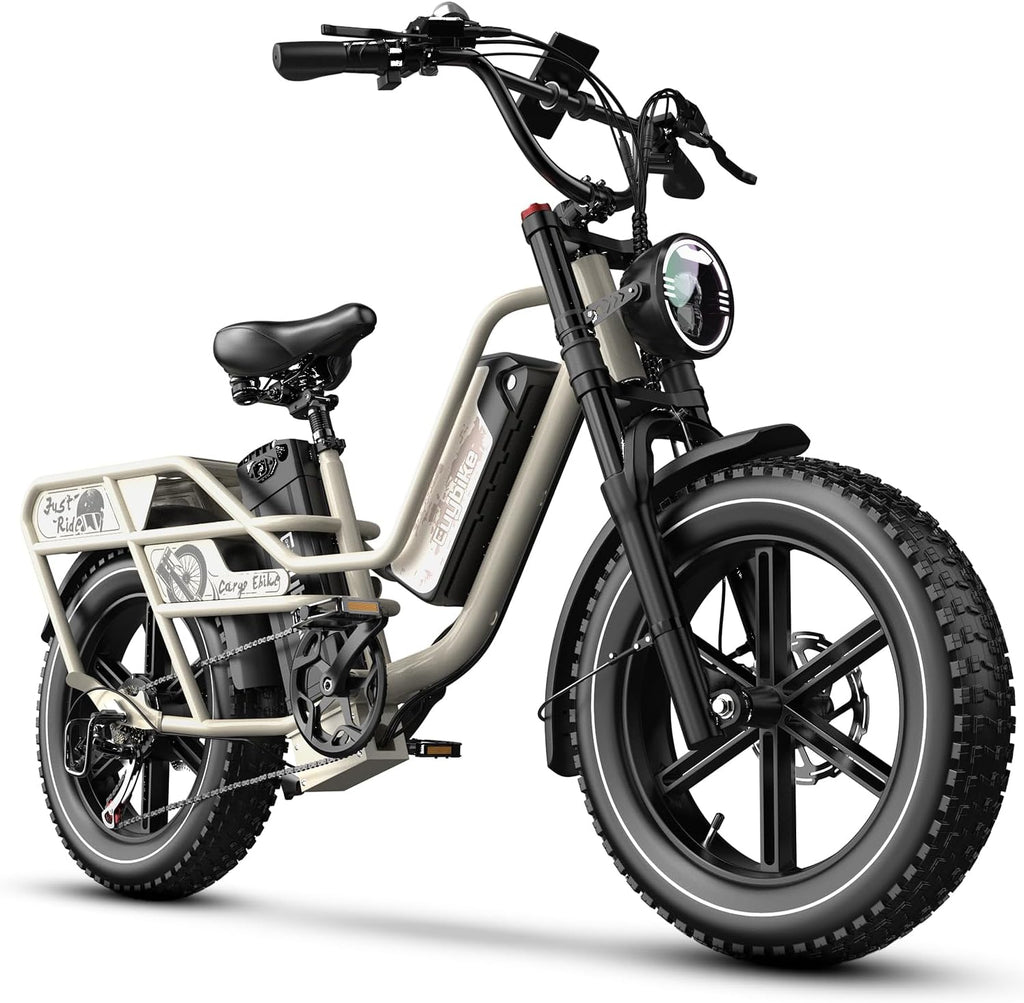 1500W Electric Bike for Adults,48V 20/25/60Ah Removable Battery Max Range 80Miles Electric Bicycle,20''×4' Fat Tire Ebike,Adult Electric Bicycles for Commute Beach Snow,E-Bike UL Certified