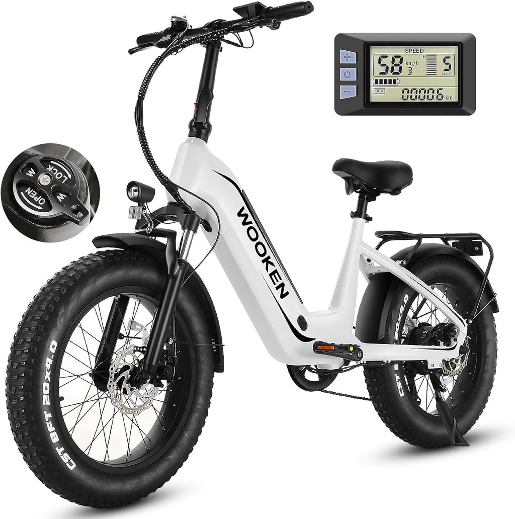 Wooken Electric Bike for Adults, 500W Motor Ebike,20'x4.0' Fat Tire Electric Bike,48V 624WH Removable Lithium-ion Battery,Up to 60 Miles,Step-Thru Electric Mountain Bike,SGS Certified to UL 2849
