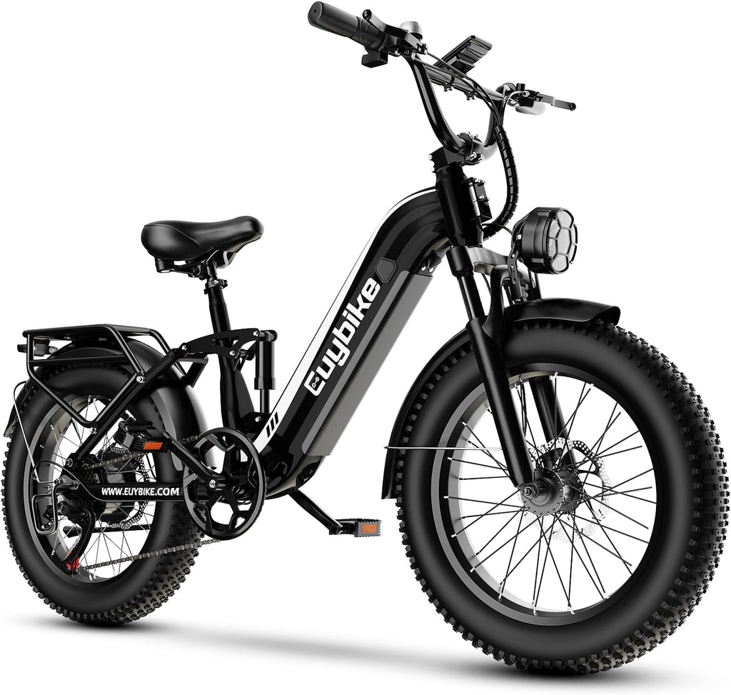 1500W Electric Bike for Adults,48V 20/25/60Ah Removable Battery Max Range 80Miles Electric Bicycle,20''×4' Fat Tire Ebike,Adult Electric Bicycles for Commute Beach Snow,E-Bike UL Certified