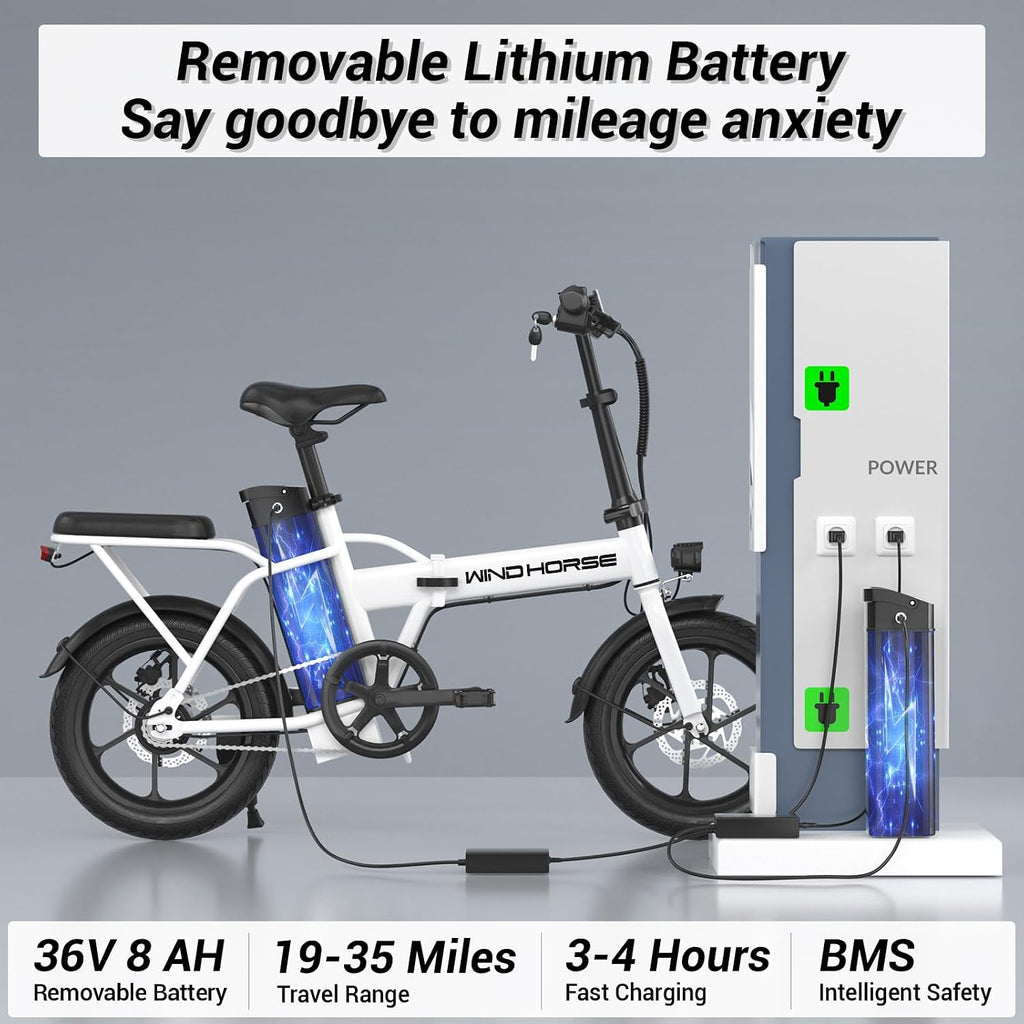 RIDWIND 16' Folding Electric Bike Adults, Peak 630W Adult Electric Bicycles, Up to 25 MPH and 35 Miles Foldable Ebikes, Electric Bike for Teens with 36V 8Ah Removable Battery, UL2849 Certificate