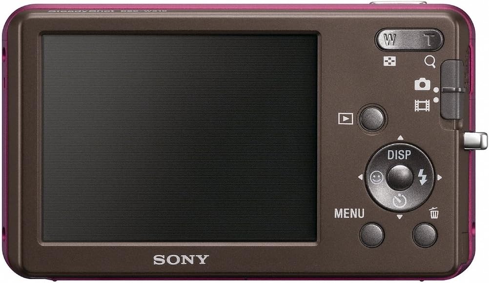 Sony DSC-W310 12.1MP Digital Camera with 4x Wide Angle Zoom with Digital Steady Shot Image Stabilization and 2.7 inch LCD (Pink)